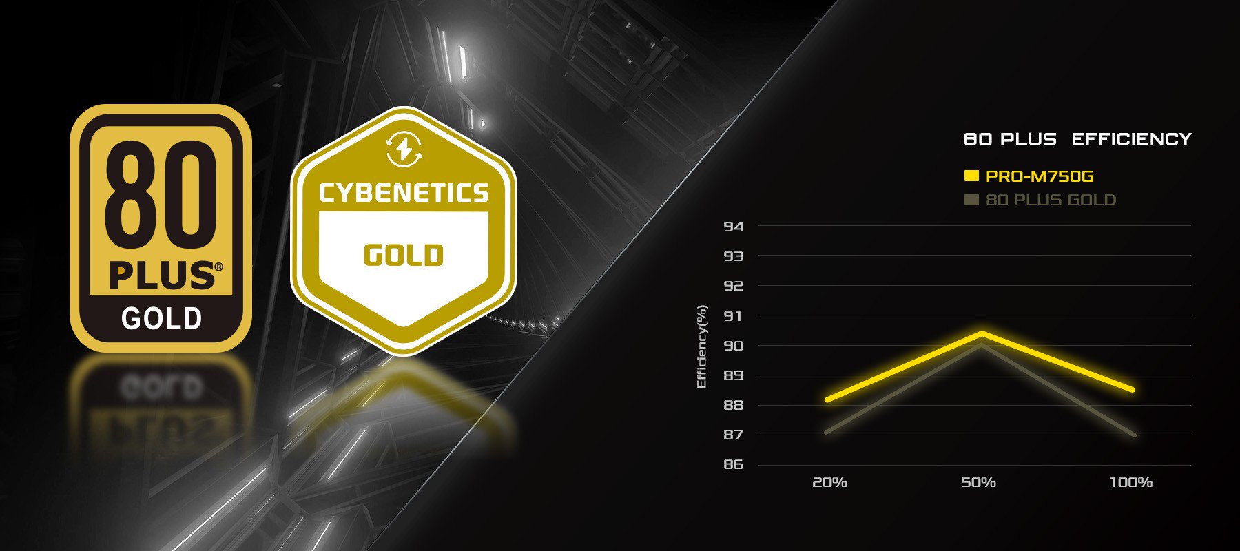 PSU 80 Plus Gold(PRO-M)