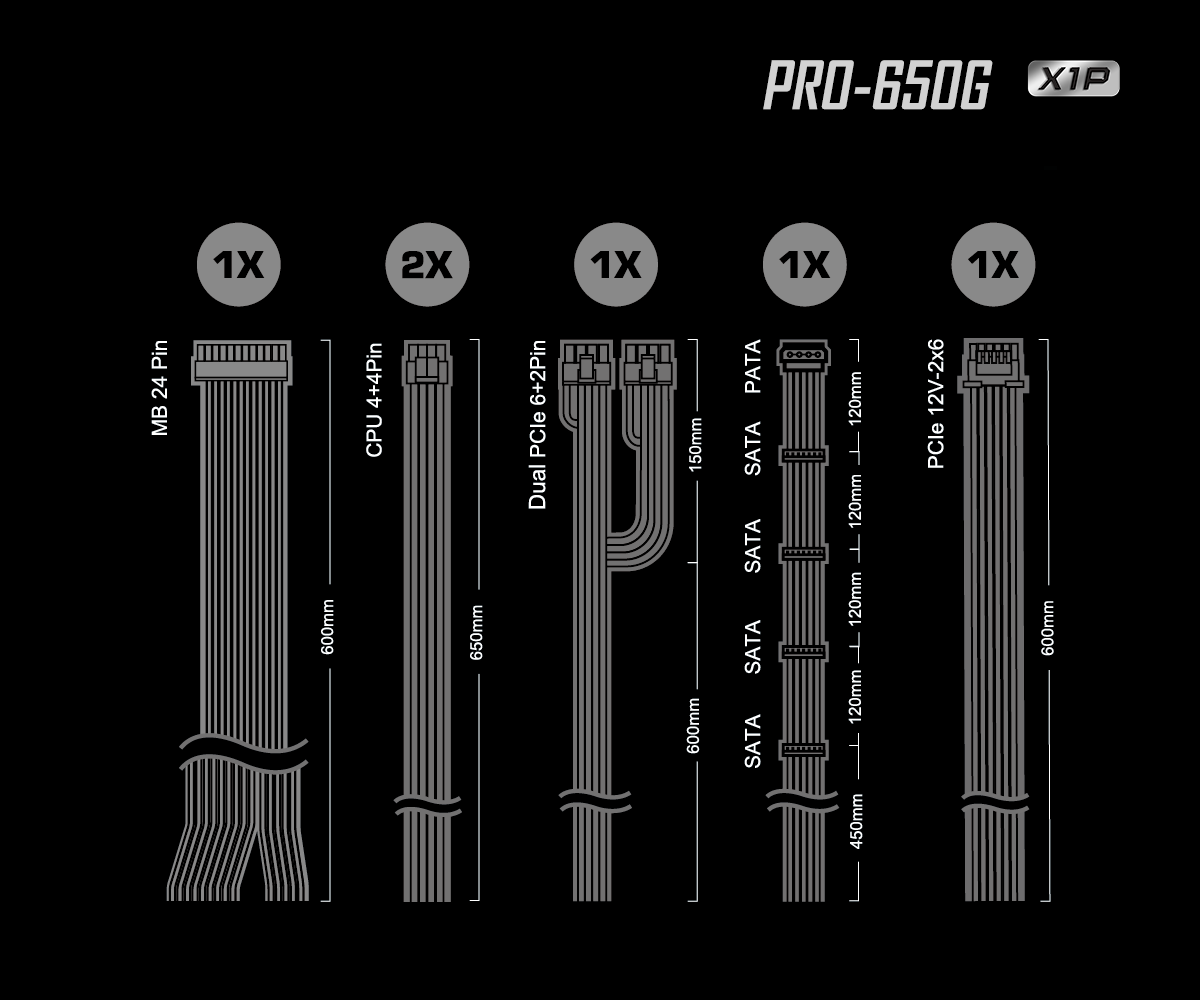 ASRock > PRO-650G_X1P