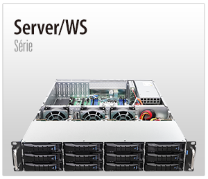 Server/WS