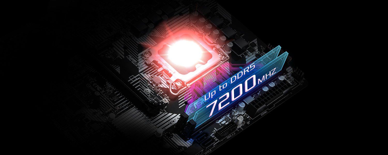 DDR5 XMP & EXPO Support
