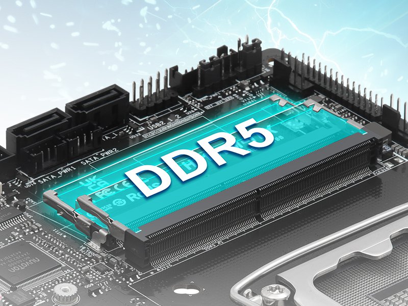 Dual Formats. High-Speed Memory.