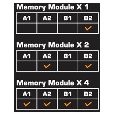 AM5 platform supports DDR5 only, please follow the memory slot priority for better performance