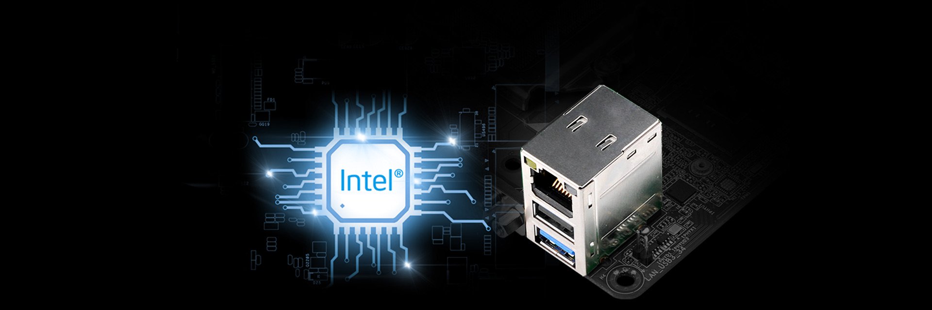 DM310 Intel LAN