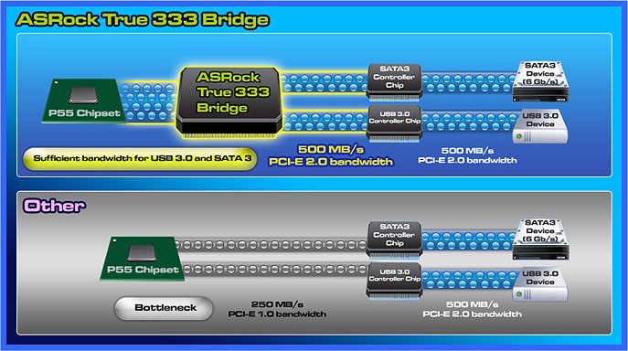 True 333 Bridge Compare
